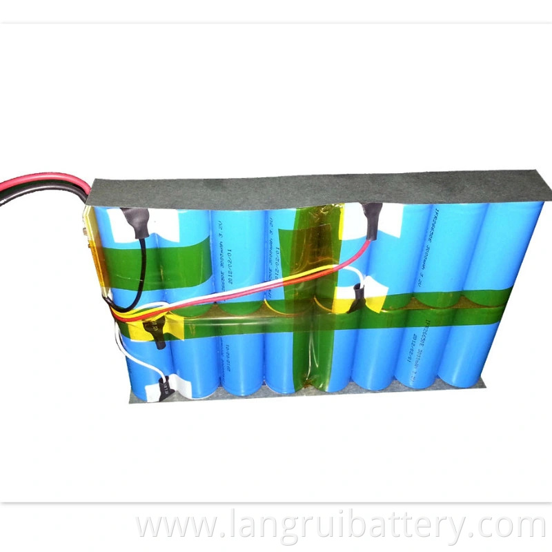 Professional 24V 36V 48V 10ah/20ah/30ah Ebike Battery-Hailong Lithium Battery Pack